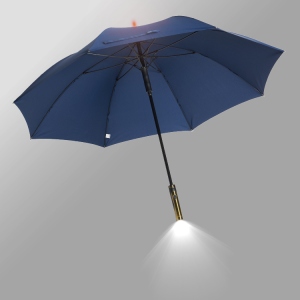 8雨伞暴雨抗风结实超大伞长柄直杆伞自动照明灯光双人伞