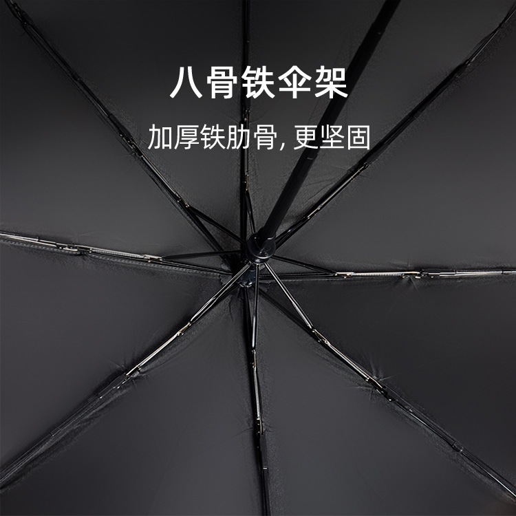 产品详情页-TU3074-防风防雨-自动伞-中文_02