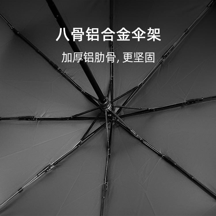 产品详情页-TU3069-防风防雨-手动伞-中文_02