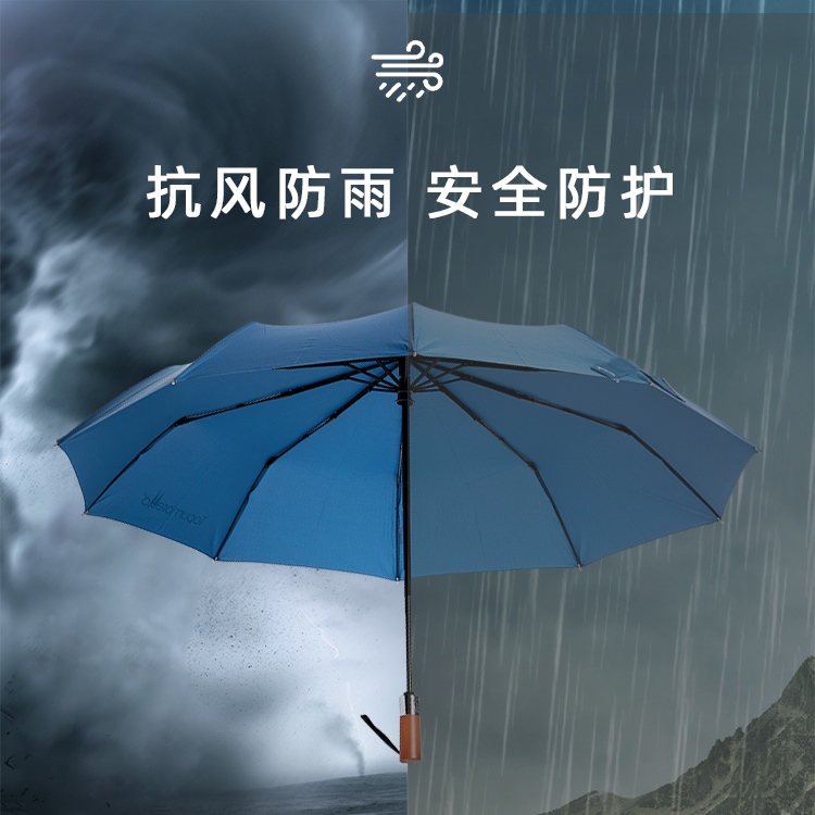 产品详情页-TU3010-防风防雨-自动伞-中文_08_03