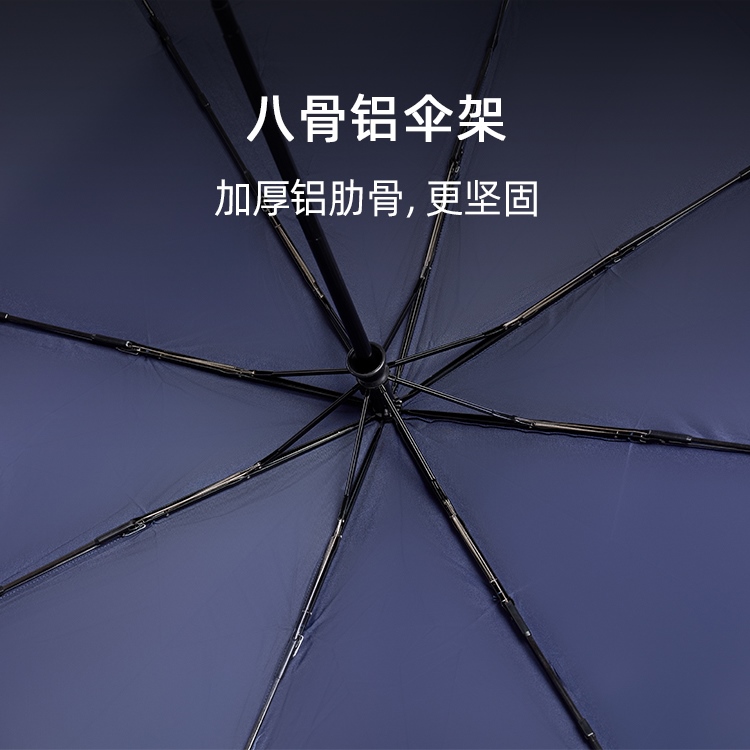 产品详情页-TU3014-防风防雨-自动伞-中文_02